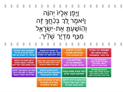 בוחן טריוויה גדעון שופטים פרק ו