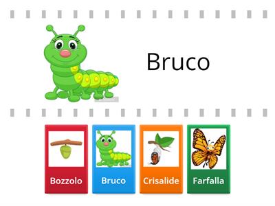  Dal bruco alla farfalla