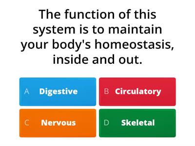 Nervous System