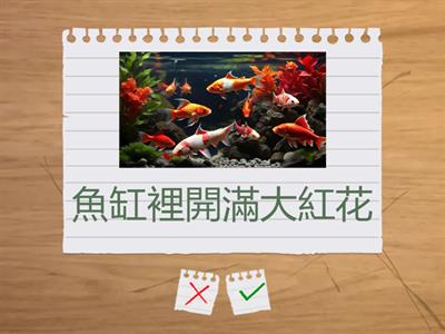 小金魚