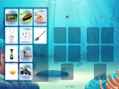 Диференціація Ж-З