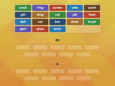 Skills 5 Add -s or -es