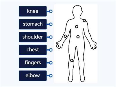 Our World 3 - Parts of the Body Vocabulary Diagram