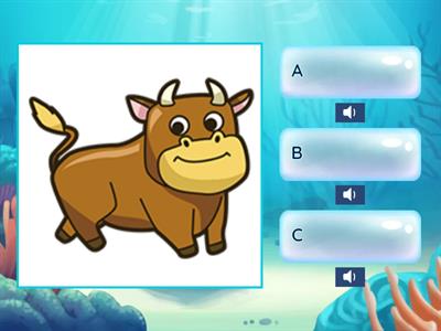 選擇題一-2訊息問句[問地方]-巒群初級認證