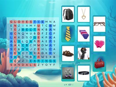 Wordsearch - Accessories