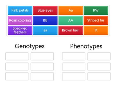 Genotype vs. Phenotype