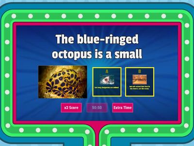 Blue-ringed Octopus Paragraph