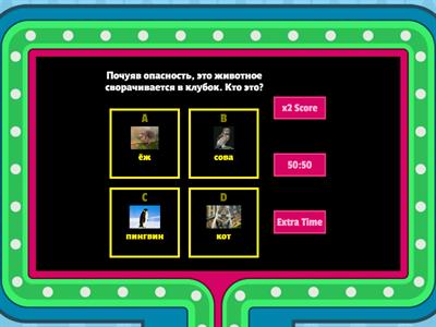 МИР ВОКРУГ НАС