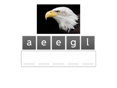 English World Unit 9