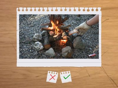 Survival skills vocabulary, MO2, Unit 2