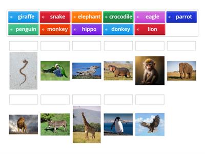 Animals book - vocabulary part 1