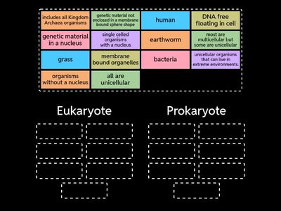 Sort into Eukaryote vs Prokaryote Categories