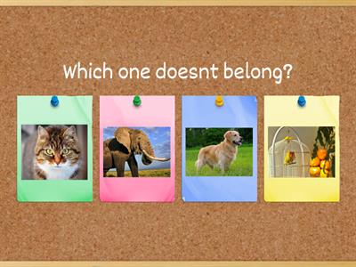 Things that doesnt belong