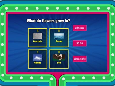 Flower and Plants Vocabulary
