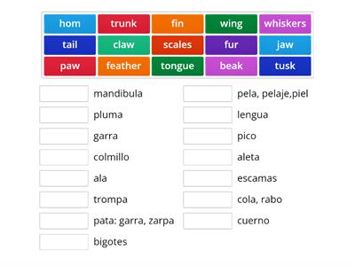 WTE 3.9 Vocabulary Parts of the body