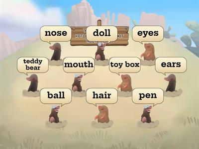 Body parts (lower level)