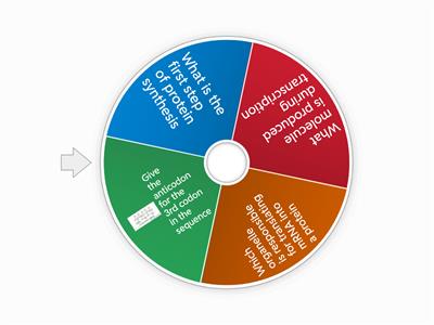 Protein synthesis spinning wheel