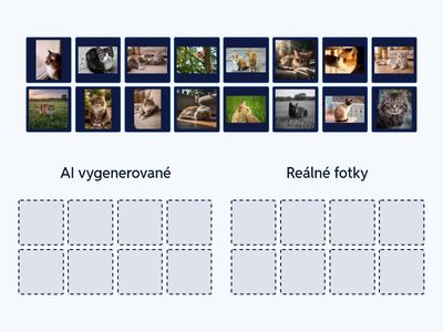 Rozpoznej AI fotky koček
