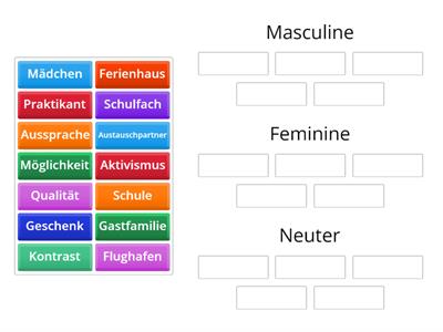 5YG Gender by Noun Endings