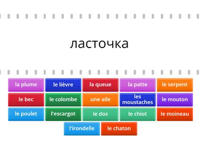 Лиза животные 