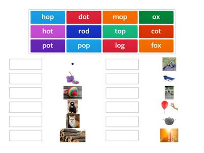 Short O (Oxford Phonics)