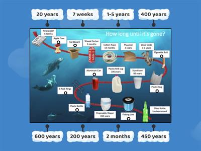 Plastic Voyages: What's the Breakdown?