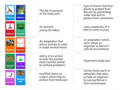  Structure & Function