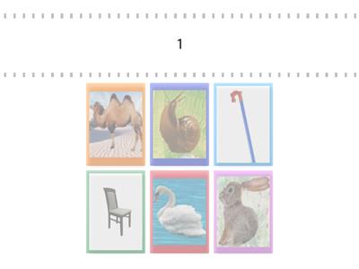  цифрообраз склад 7 ейдетика