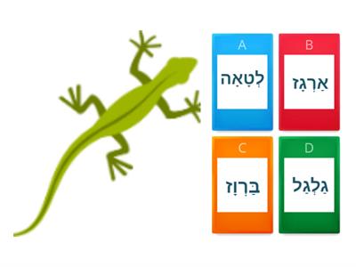 שווא