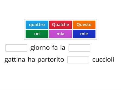 Aggettivi possessivi, dimostrativi, qualificativi, numerali