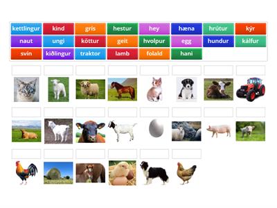 bls. 46-47 Í sveitinni