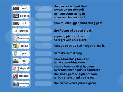 Unit 3 Vocabulary Words