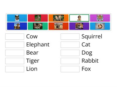 Animal Match Up