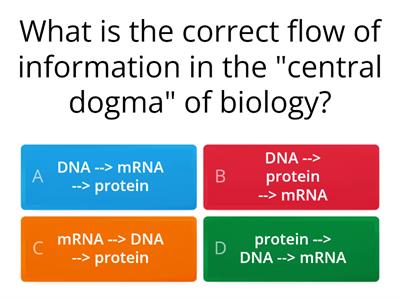 Replication, Transcription, Translation Review