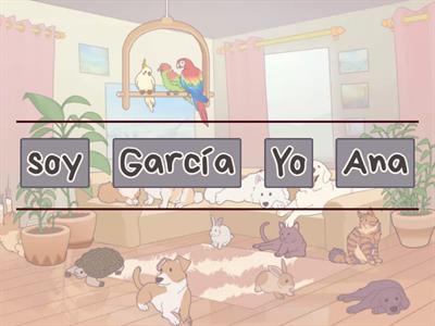 Presentaciones e información personal.