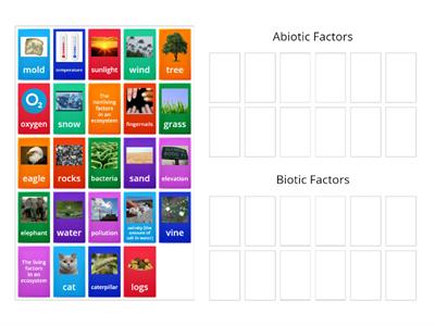 Abiotic vs Biotic Factors