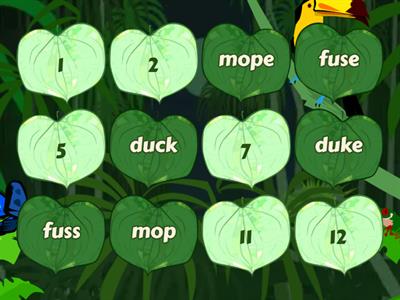 Darcy's final silent e pairs