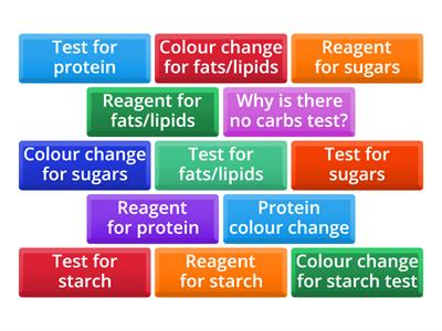 CAX KS4 Biol Food tests 