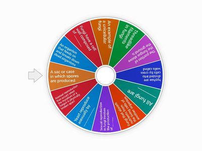 final revision grade 11