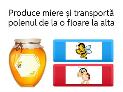Provocarile lui Zumzi