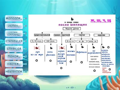 Ь после шипящих на конце слова