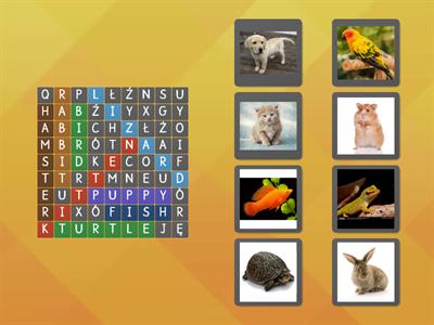 Tiger 2 Unit 2 - Pets - wordsearch