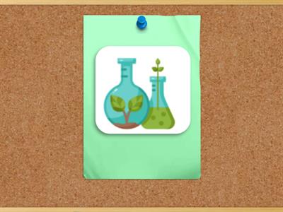 School subjects (grade 5) 