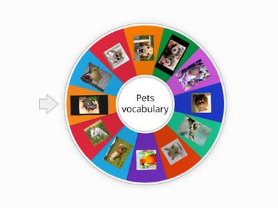 Pets vocabulary 