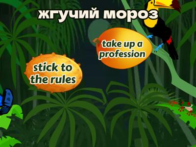  English Collocations In Use unit 1 Летучий фрукт