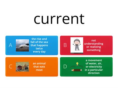 U4 reading focus vocabulary q