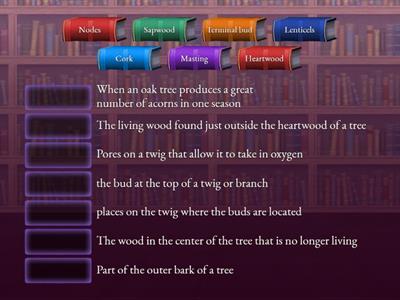 Science vocab chapter 10