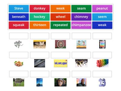 ALL Long Vowel e Patterns: e_e, ea, ee, ey