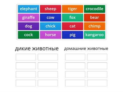 RainbowEnglish 3, Unit 7 Step 3 animals