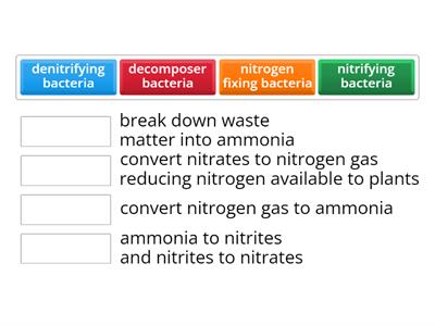 Nitrogen cycle bacteria